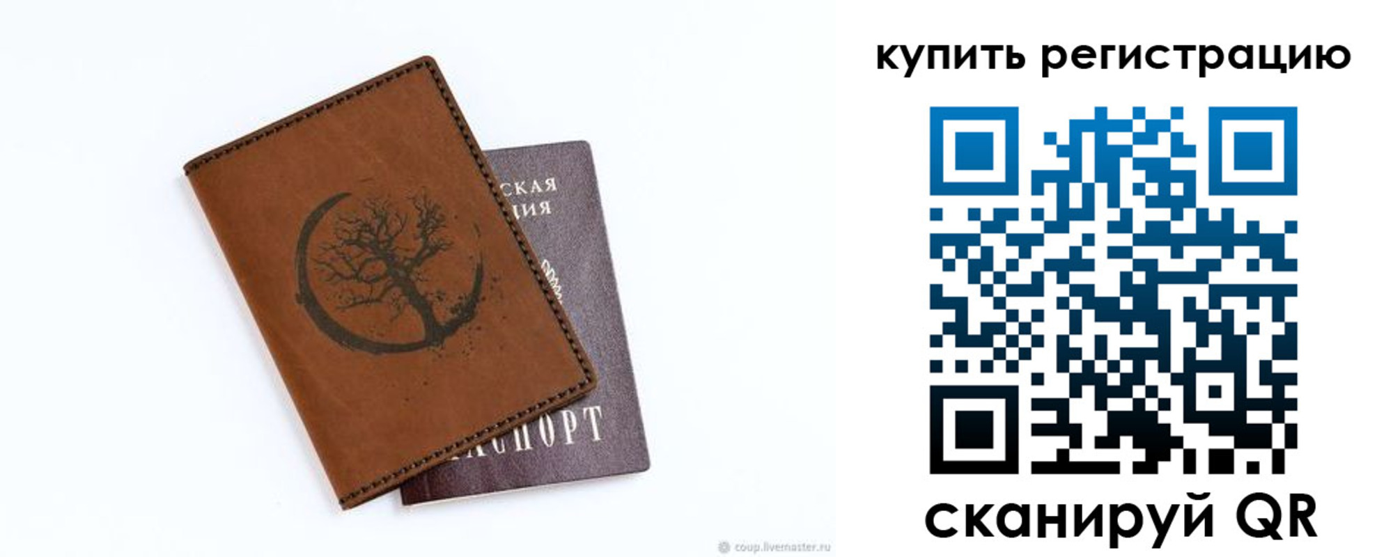 где прописаться в Коле