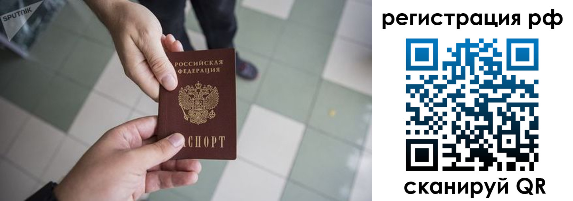 прописка гарантия в Коле