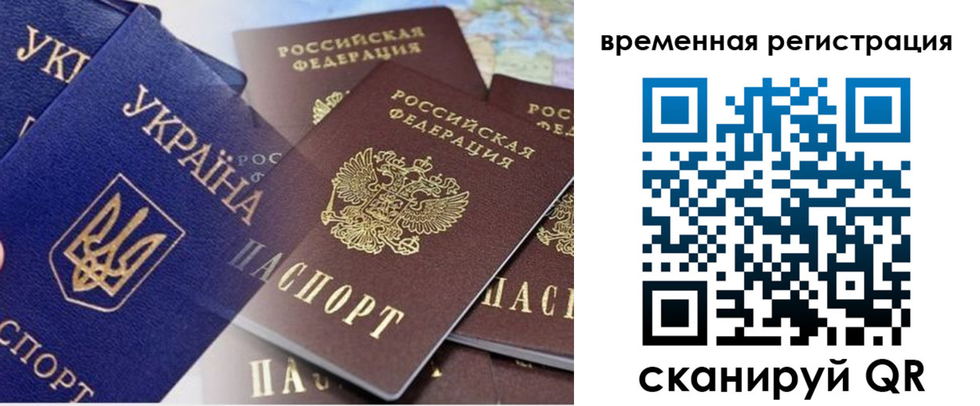 временная регистрация поиск в Коле